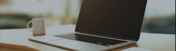 видеогалерея